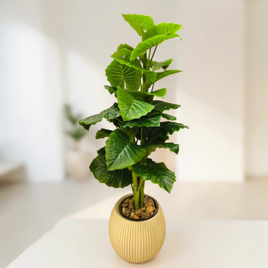 Artificial Alocasia Plant in Decorative Pot – Realistic Indoor Greenery