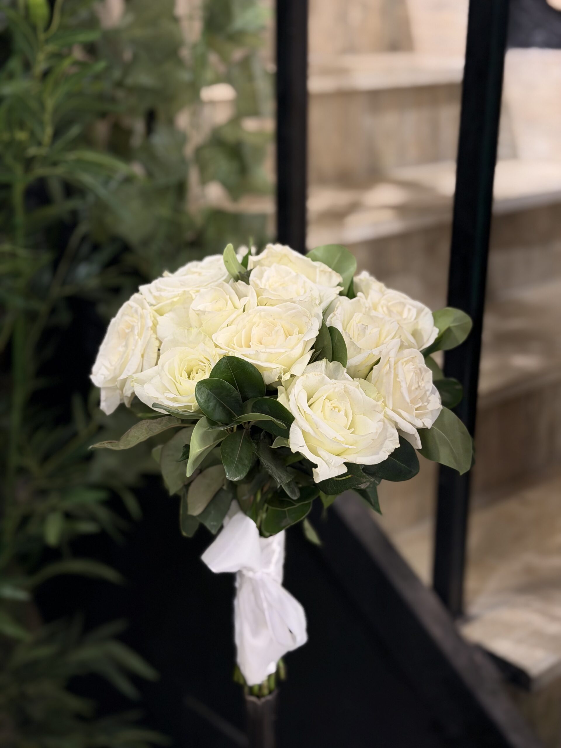 ⁦nb041⁩ - الصورة ⁦12⁩